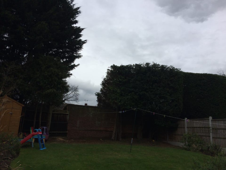 Garden hedge