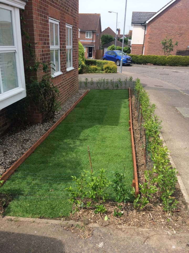 Artificial lawn