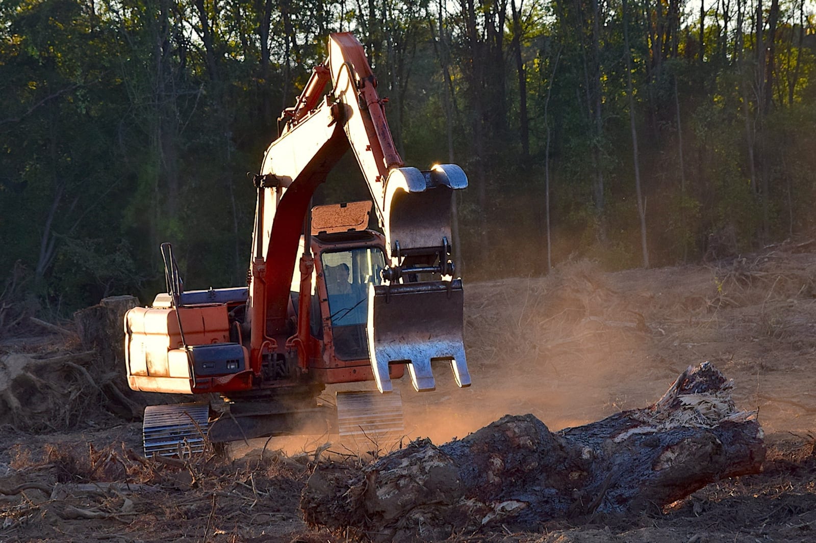 Site clearance excavation