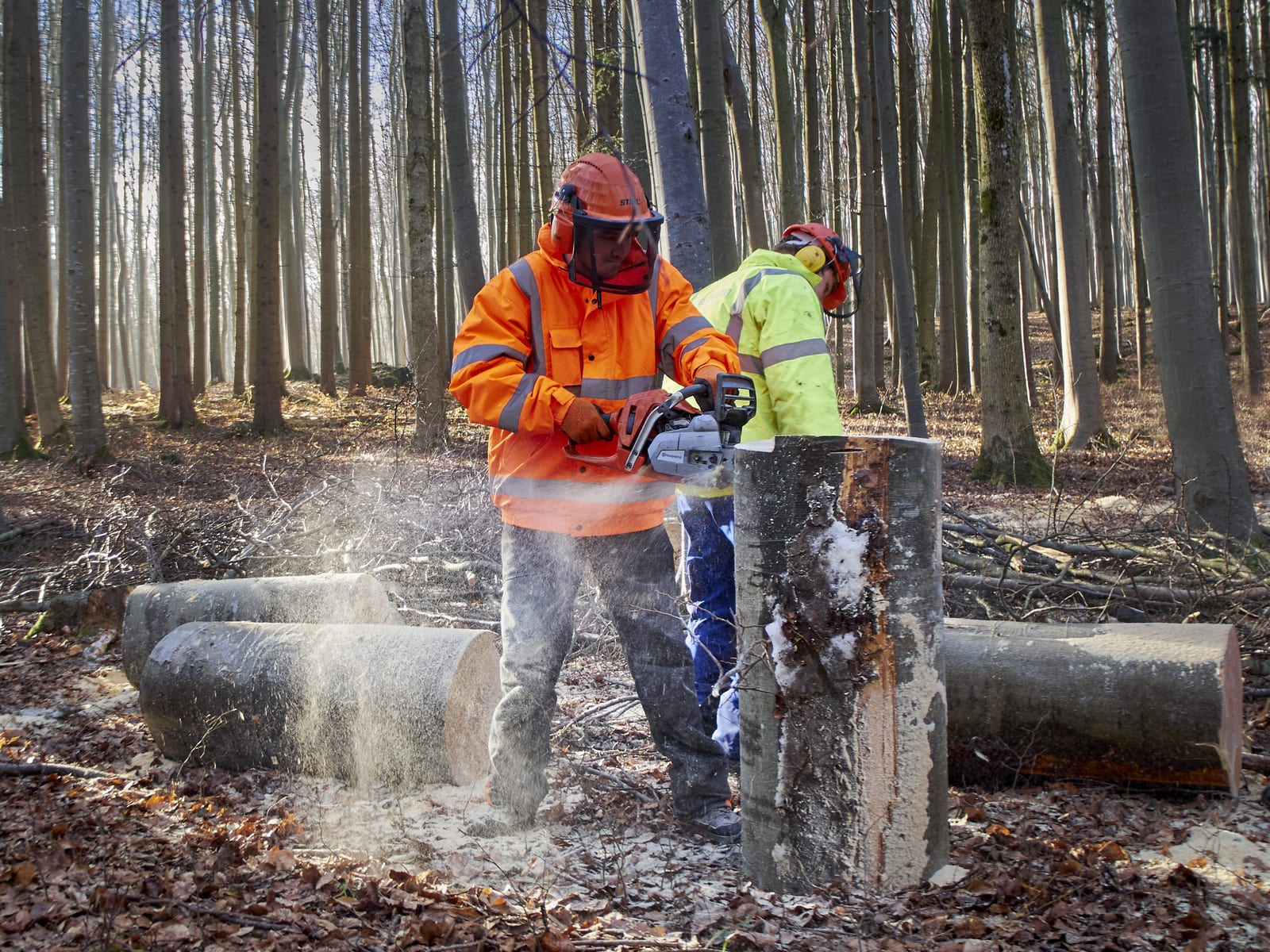 The GD Tree & Gardens Specialists team at work