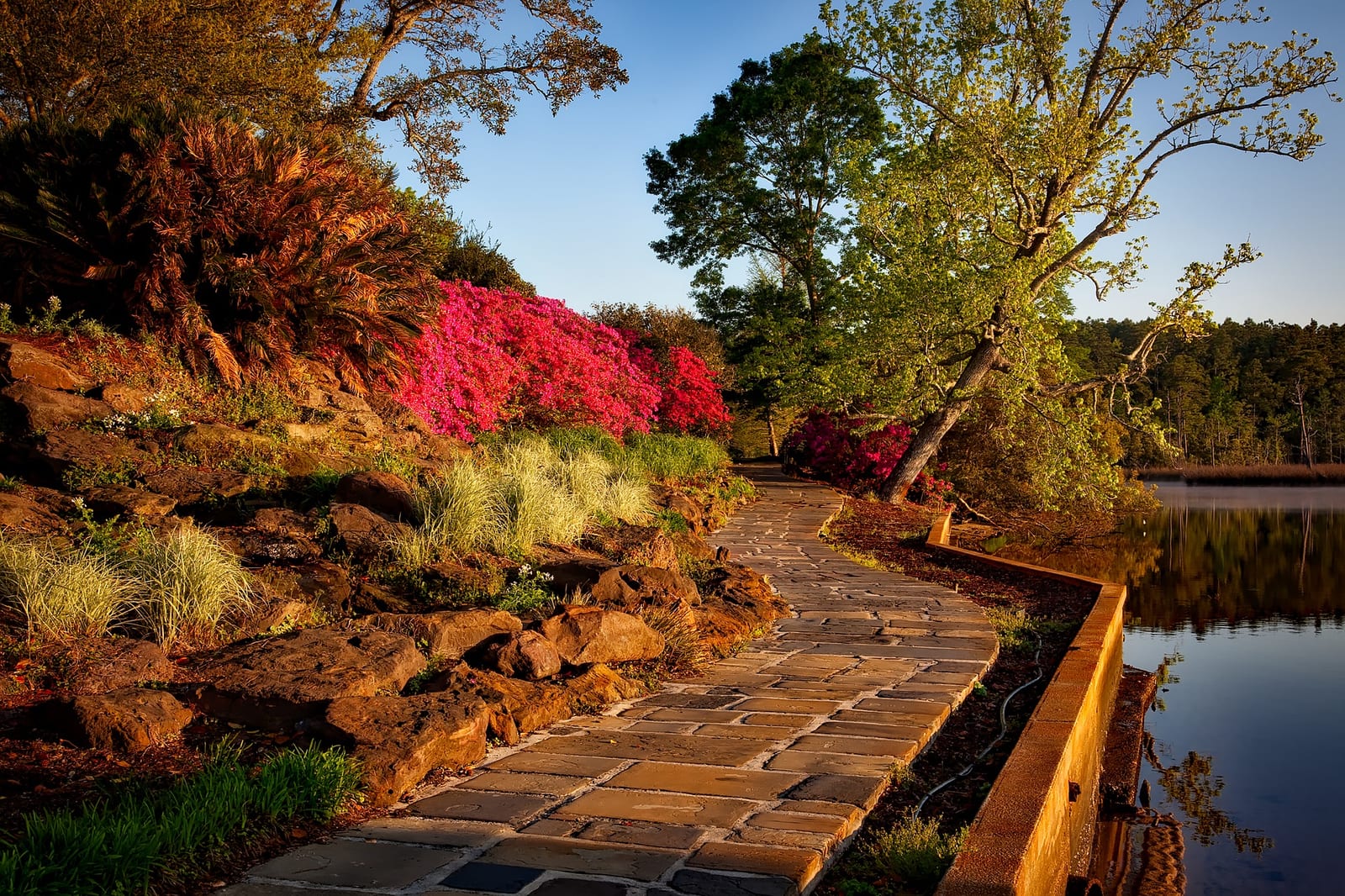 Landscape Design in Colchester