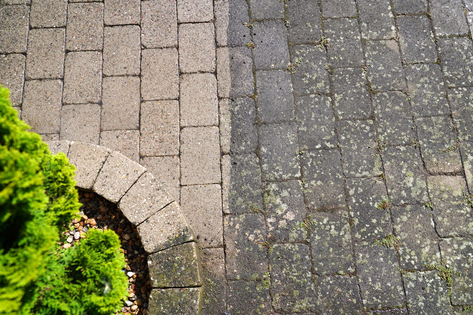 Patio Cleaning by GD Tree & Gardens Specialists in Colchester