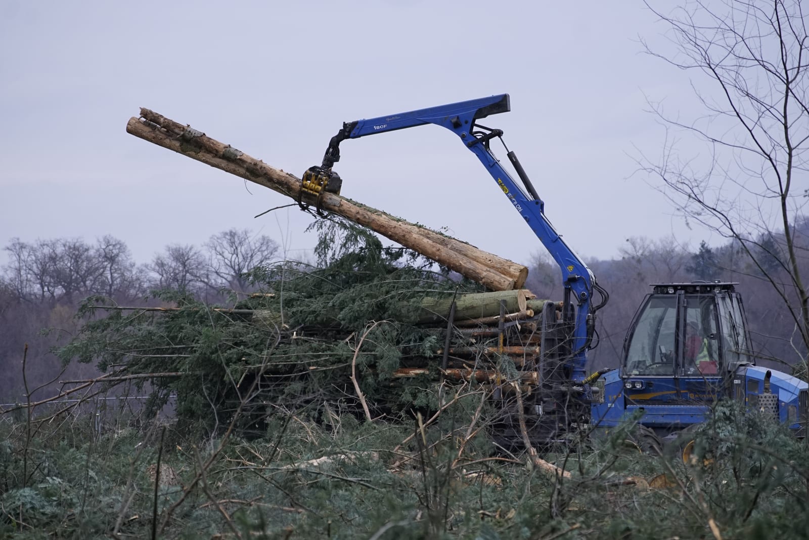 Site Clearance in Colchester